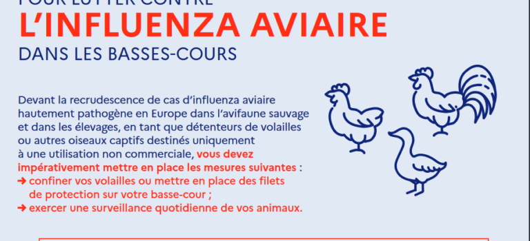 Influenza aviaire : la France place son territoire en niveau de risque « élevé »