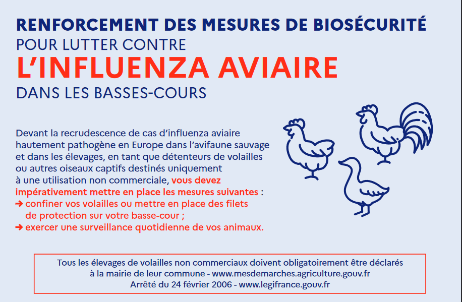 Influenza aviaire la France place son territoire en niveau de risque